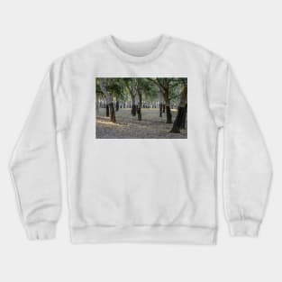 Canberra Cork Plantation 01 Crewneck Sweatshirt